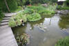 Miroir d'eau Aqualife - bassin de jardin de dmonstration 2  7 