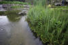 Miroir d'eau Aqualife - bassin de jardin de dmonstration 2  4 