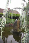 Miroir d'eau Aqualife - bassin de jardin de dmonstration 3  43 