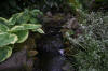 Miroir d'eau Aqualife - bassin de jardin de dmonstration 3  48 