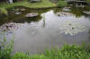 Miroir d'eau Aqualife - bassin de jardin de dmonstration 3  12 