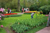 Keukenhof un festival de tulipe page 11  41 
