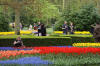 Keukenhof un festival de tulipe page 2  40 