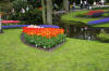 Keukenhof un festival de tulipe page 8  13 