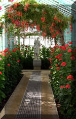 Les serres Royal de Belgique - Les Fuchsias 2