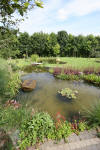 Bassin de jardin naturel  Lasne - Vue gnrale  4 