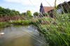 Bassin de jardin naturel  Lasne - Vue gnrale  9 