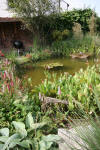 Bassin de jardin naturel  Lasne - Vue gnrale  13 