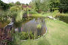 Bassin de jardin naturel  Lasne - Vue gnrale  18 