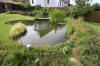 Bassin de jardin naturel  Lasne - Vue gnrale  27 