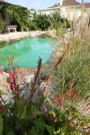 Transformation d'une piscine classique en bassin baignade 1  14 