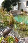 Transformation d'une piscine classique en bassin baignade 1  4 