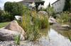 Transformation d'une piscine classique en bassin baignade 2  45 