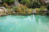 Transformation d'une piscine classique en bassin baignade 2  32 