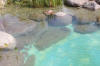 Transformation d'une piscine classique en bassin baignade 2  12 