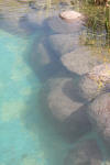 Transformation d'une piscine classique en bassin baignade 3  47 