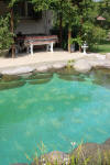 Transformation d'une piscine classique en bassin baignade 3  33 