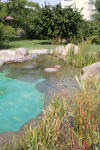 Transformation d'une piscine classique en bassin baignade 3  21 