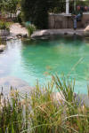 Transformation d'une piscine classique en bassin baignade 4  49 