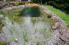 Un bassin baignade dans les Voges set de photos 1  26 