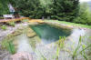 Un bassin baignade dans les Voges set de photos 1  25 