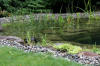 Un bassin baignade dans les Voges set de photos 1  2 